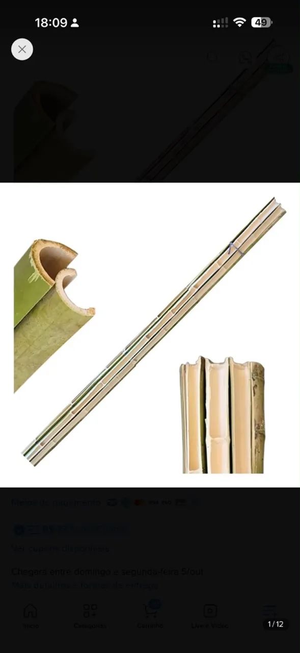 Vende-se Bambu Natural - Foto 2