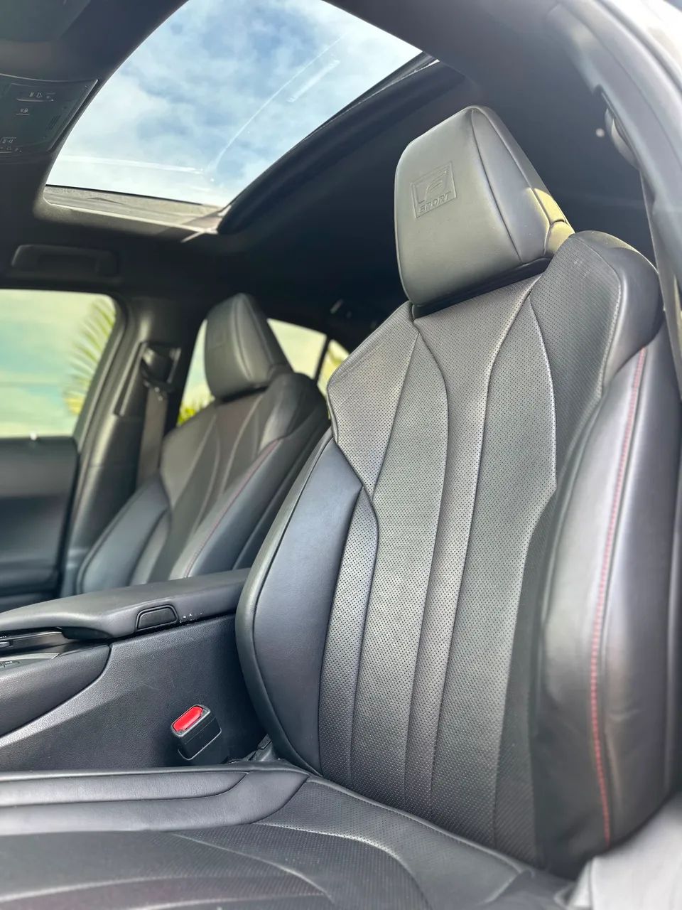 Lexus UX-250h F-sport 2.0 16V Aut.(hybrid), foto 9 de 20