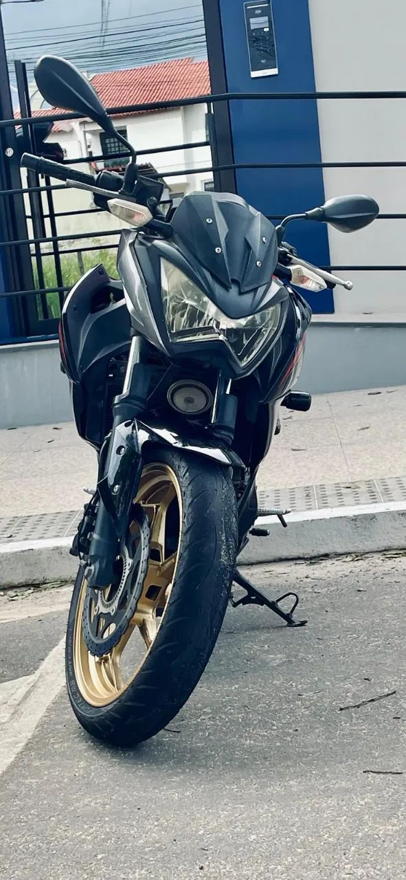 Kawasaki 300 2018 - 1489078931 | OLX