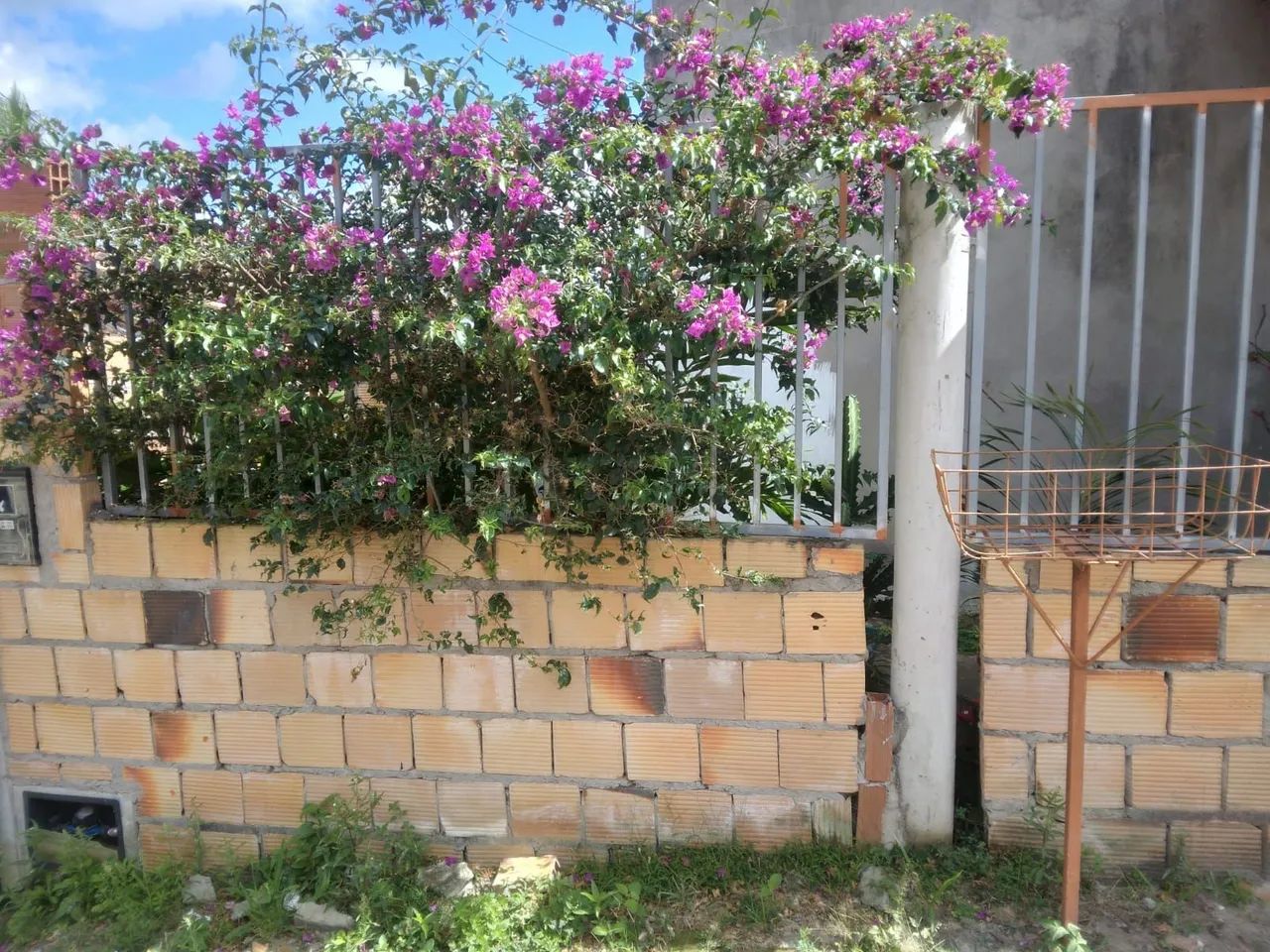 Casa em Cruz das almas - Foto 2