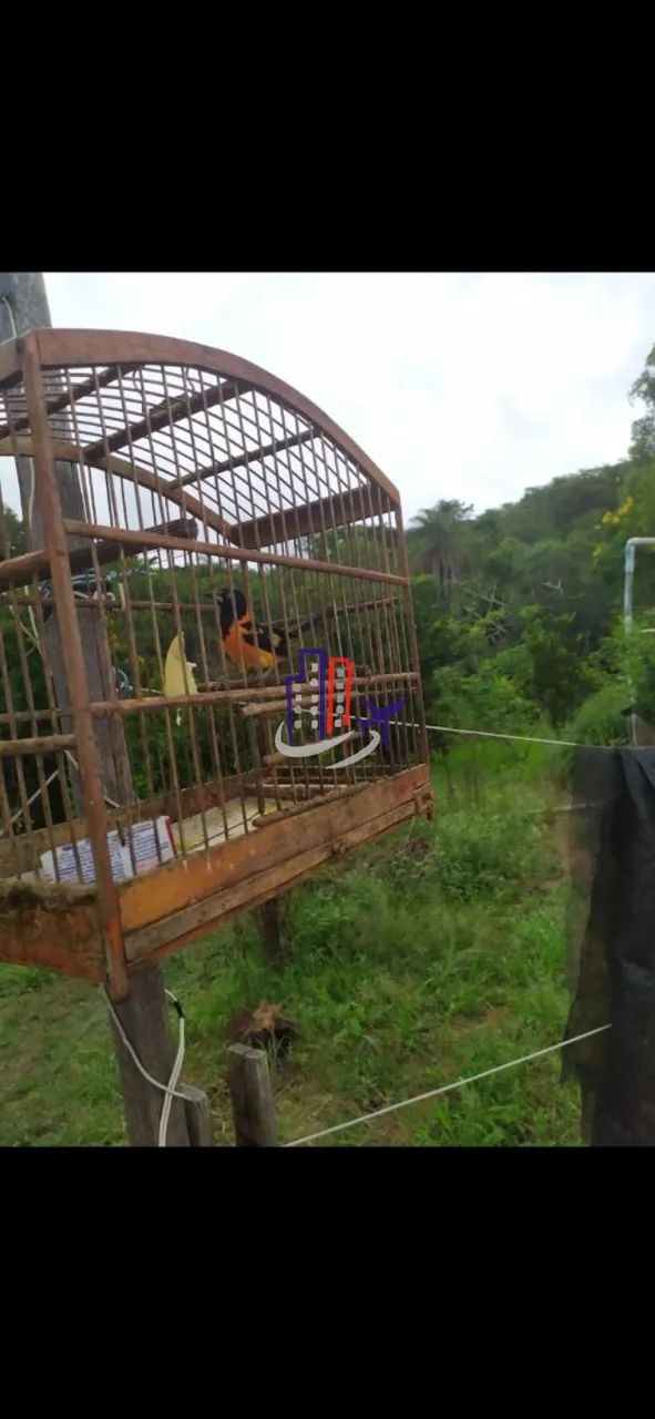 Sítio Para Vender com 03 quartos no bairro Quintas dos Querubins em Baldim - Foto 5