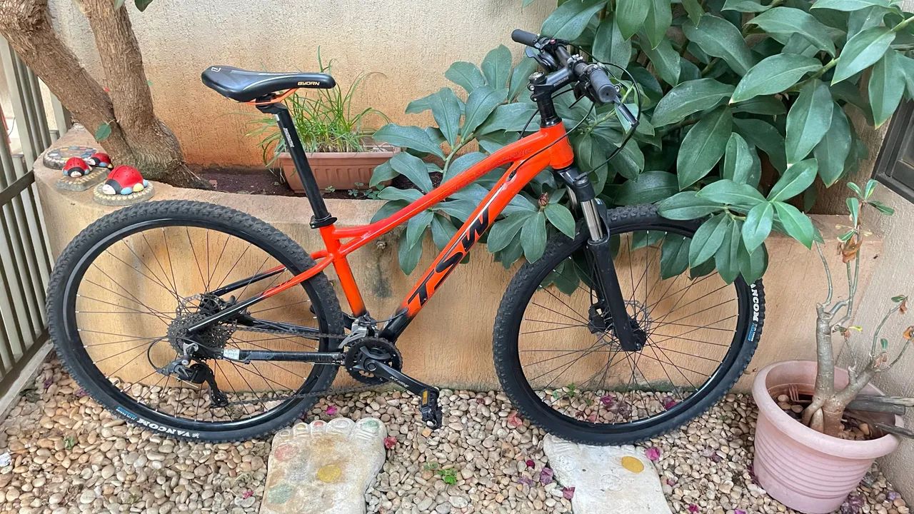  STAMINA TSW Aro 29 