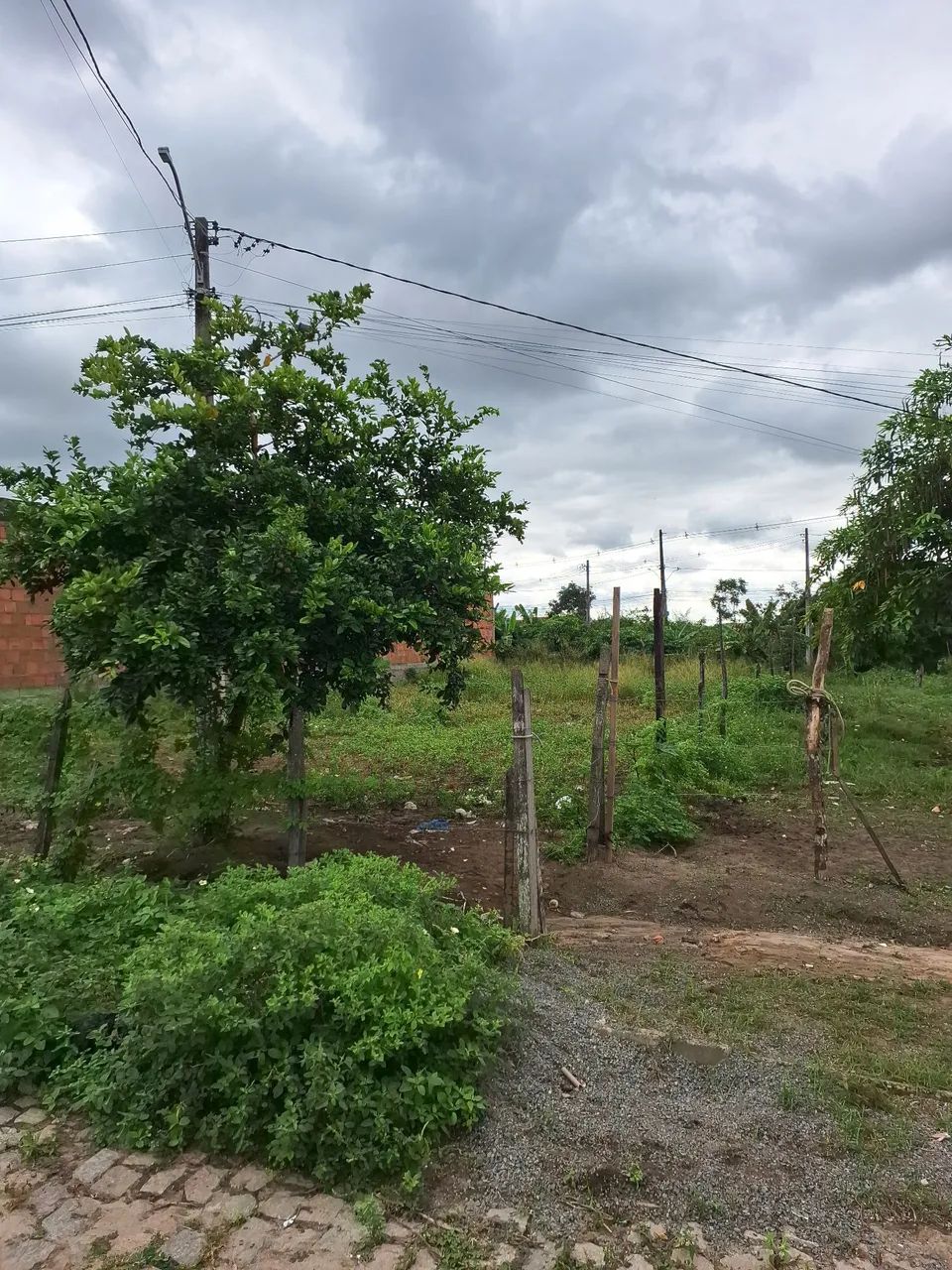 Vendo este terreno  - Foto 5