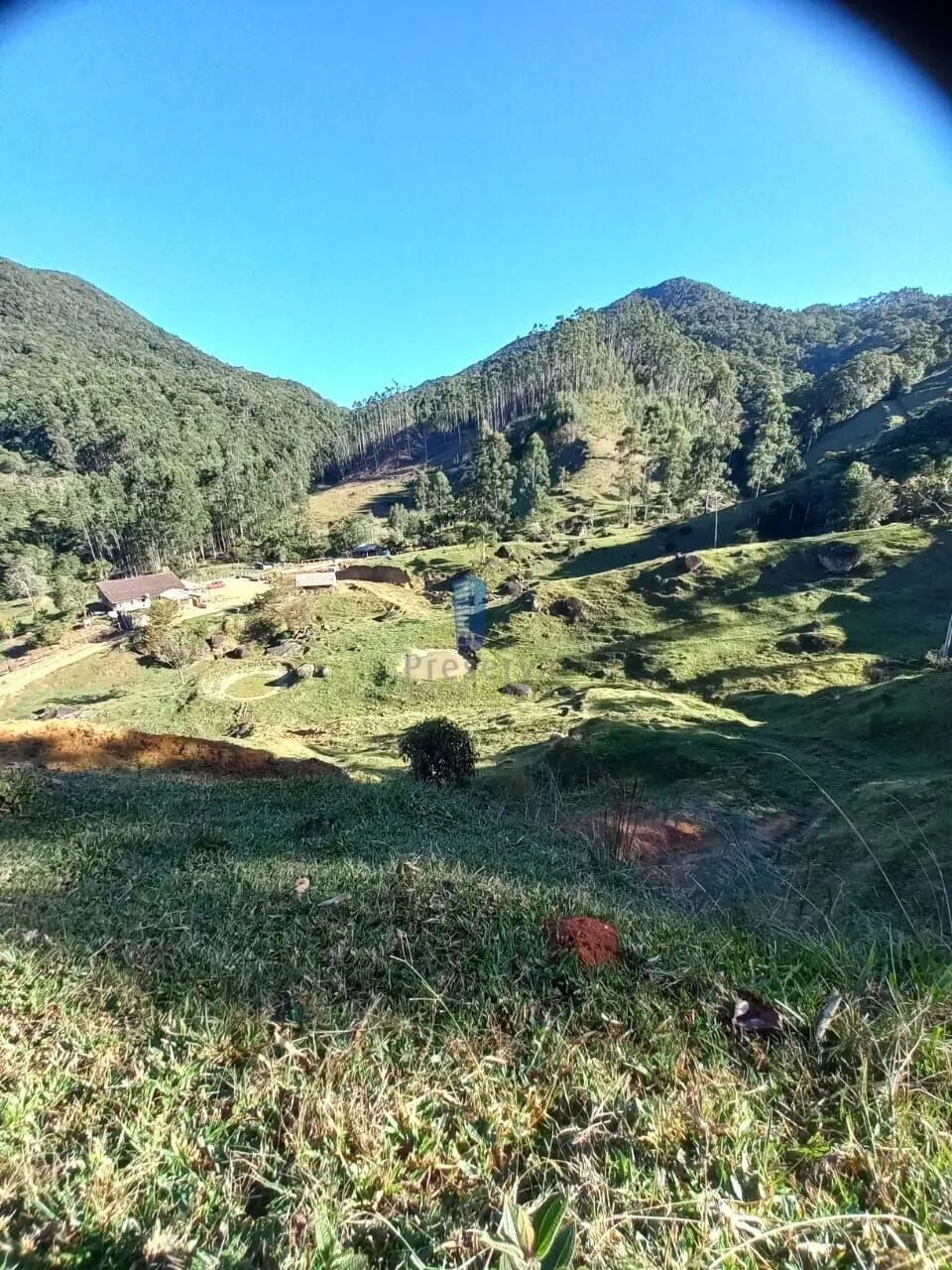 Sítio com 70 hectares em Major Gercino SC - Foto 5