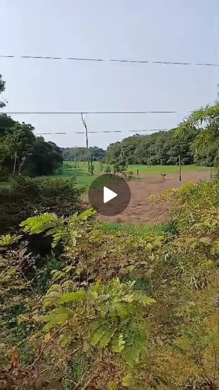 Fazenda à venda Próxima a Humaitá - AM - Foto 4