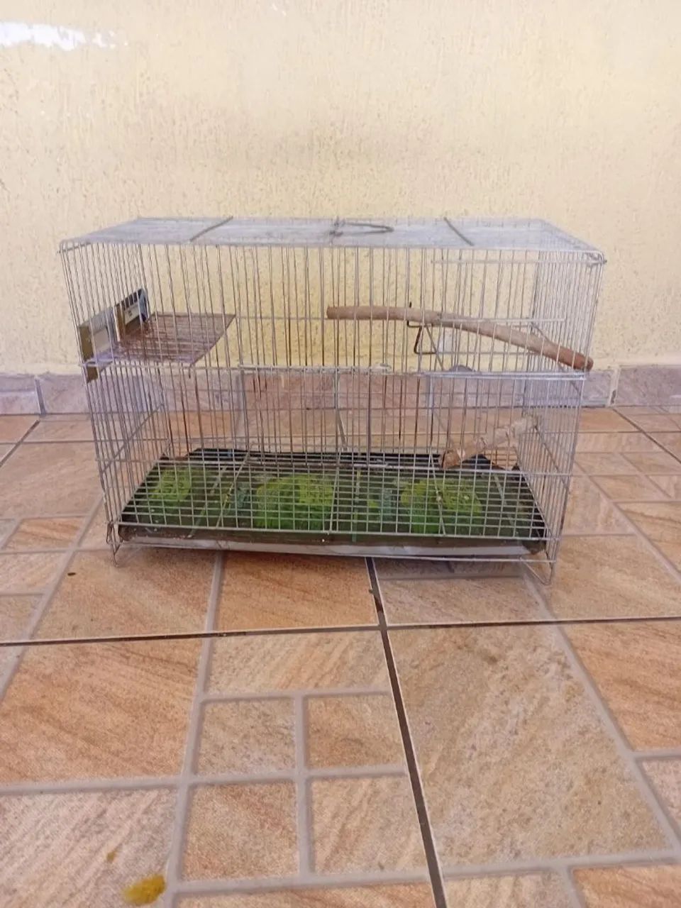 Gaiola ferro - Foto 3