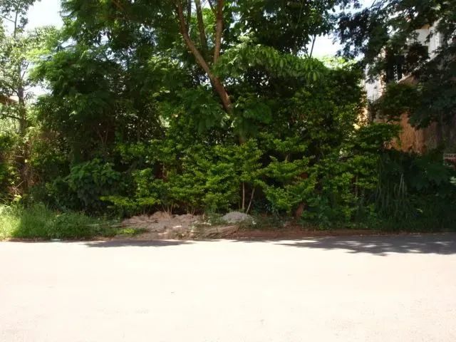 terreno - Parque Taquaral - Campinas - Foto 5