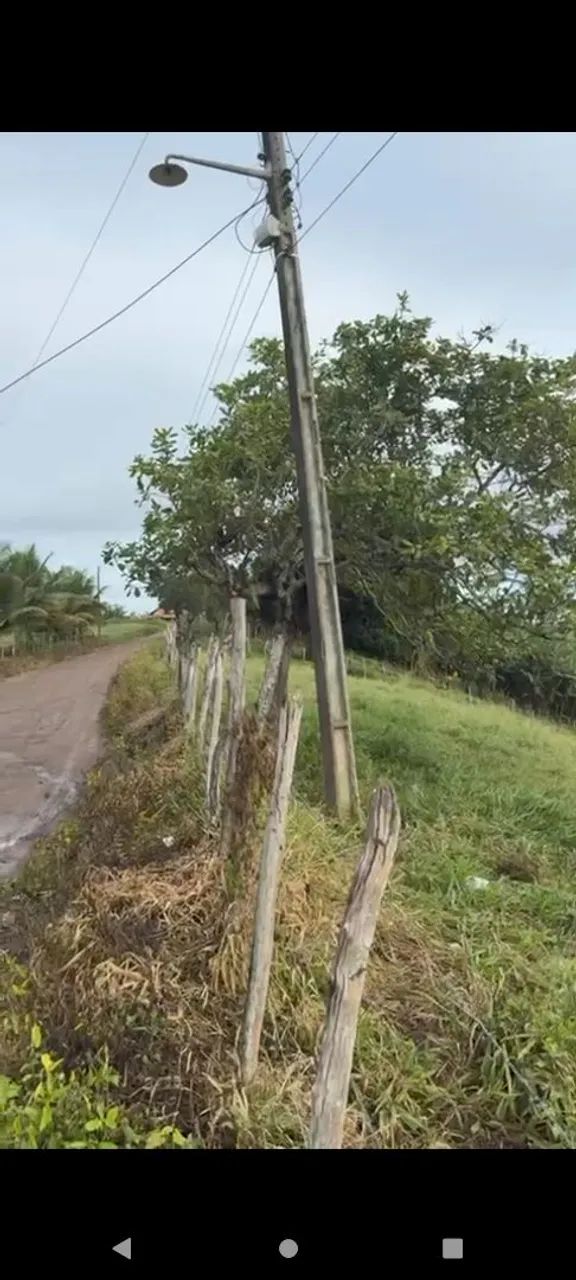 Granja em Areia  - Foto 3