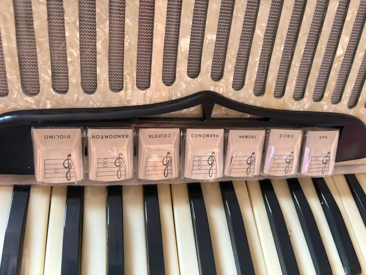 Acordeon  - Foto 2