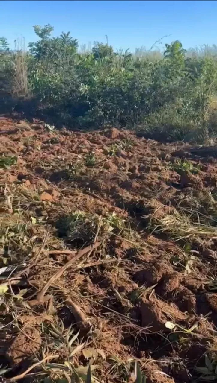 Fazenda à Venda em Santa Rita - Tocantins - Foto 3