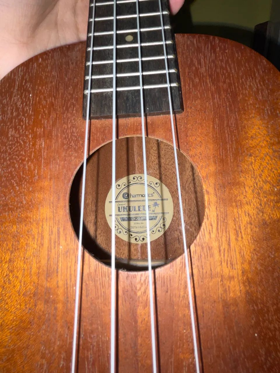 Ukulele Harmonics  - Foto 3