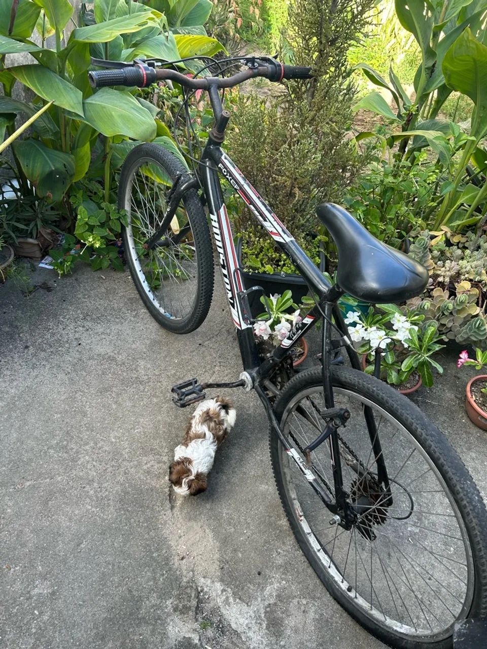 Bicicleta  - Foto 2