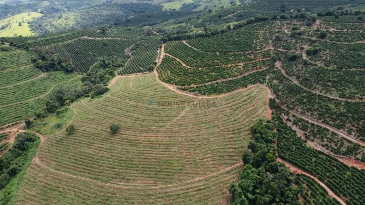 CAFÉ  PRODUÇÃO E QUALIDADE - Foto 5