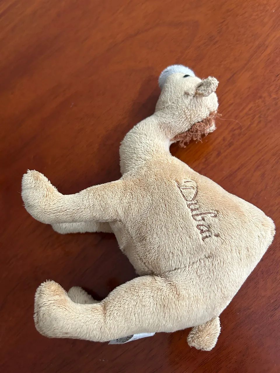 Camelinho de Dubai  - Foto 2