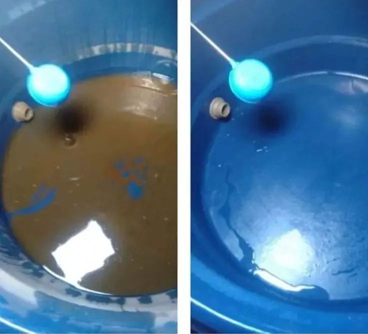 Sanitização e Preservação  - Foto 2