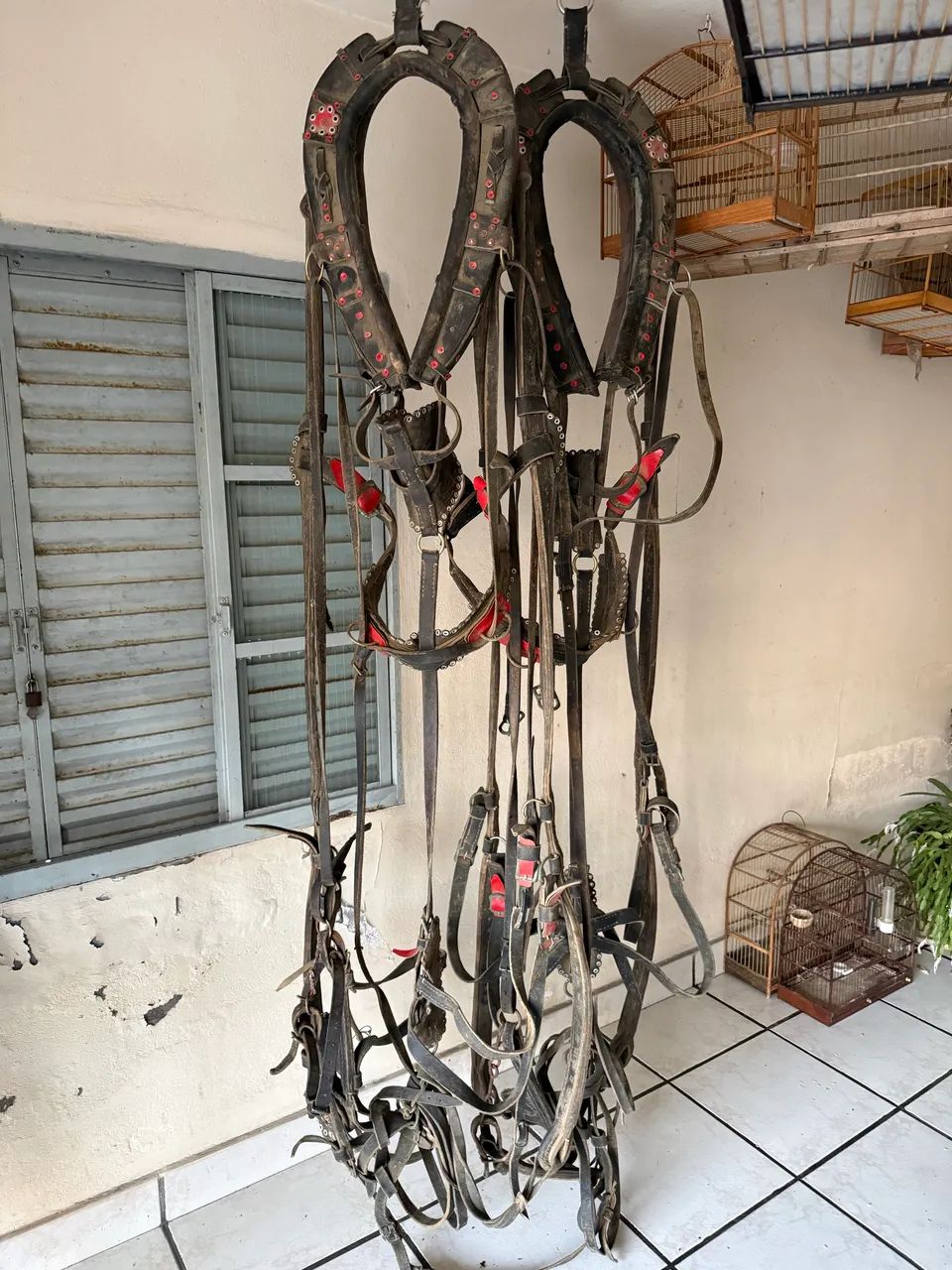 Curiama de 2 cavalos  - Foto 3