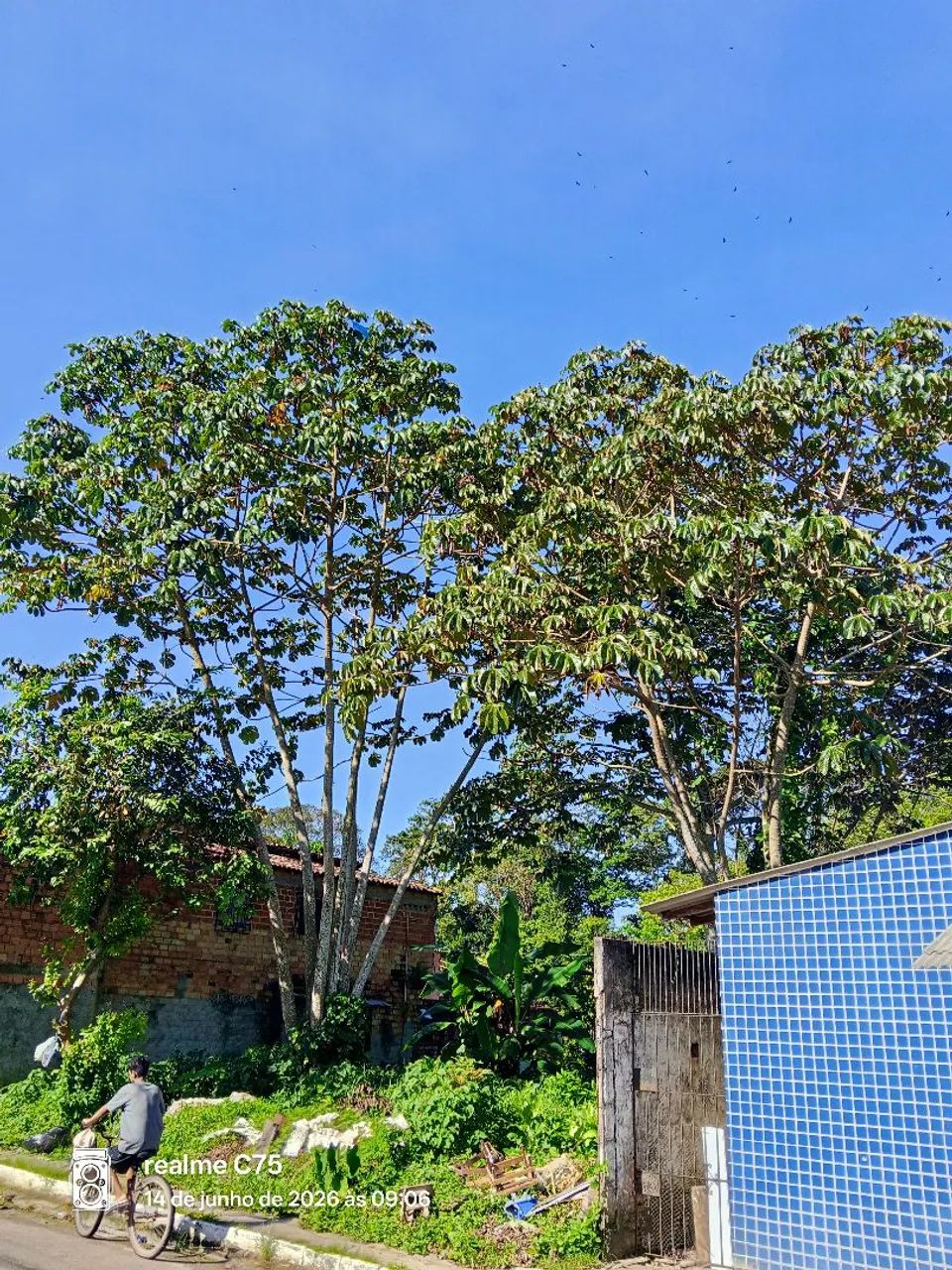Terreno 