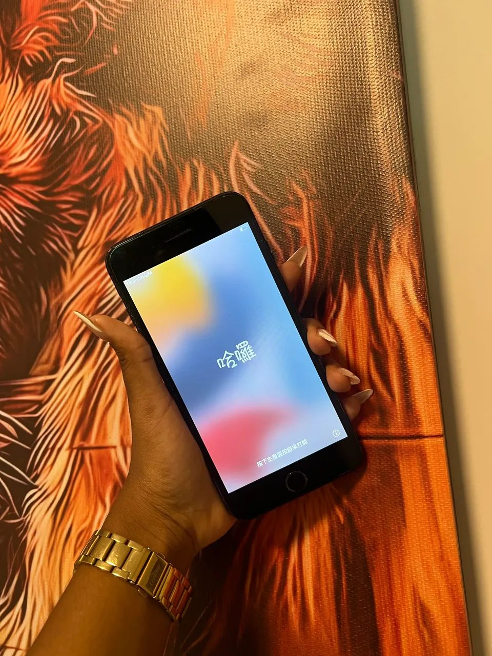 iPhone 7 Plus 