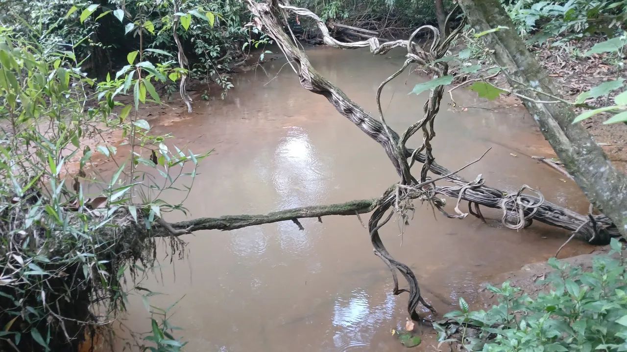 VENDO SÍTIO SANTA BÁRBARA 