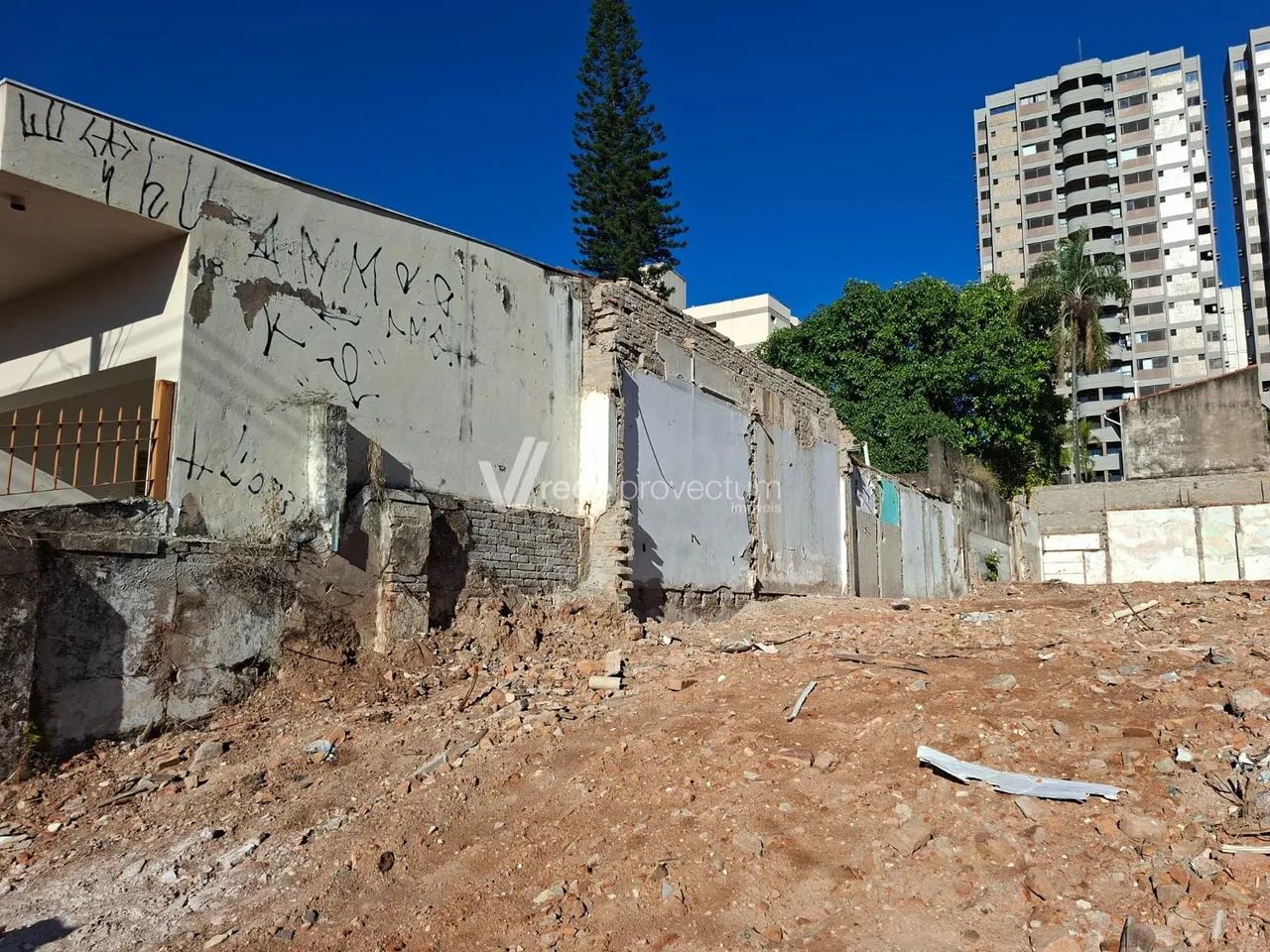 terreno - Bosque - Campinas - Foto 5