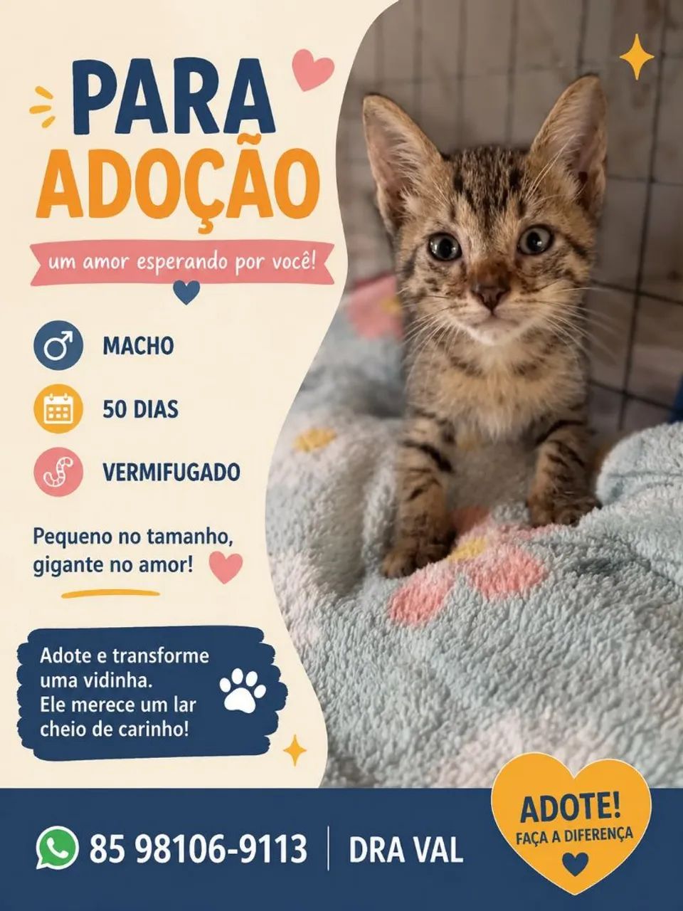Animais 