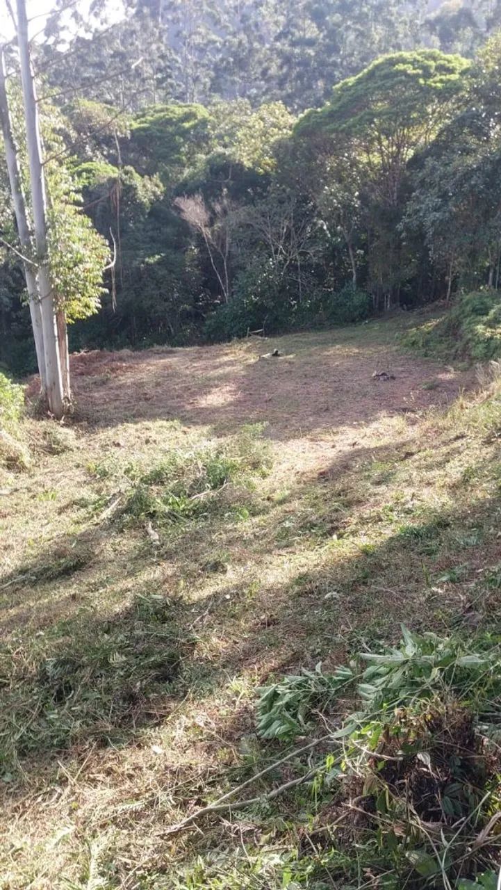 Vendo terreno 4100 metros quadrados  - Foto 5