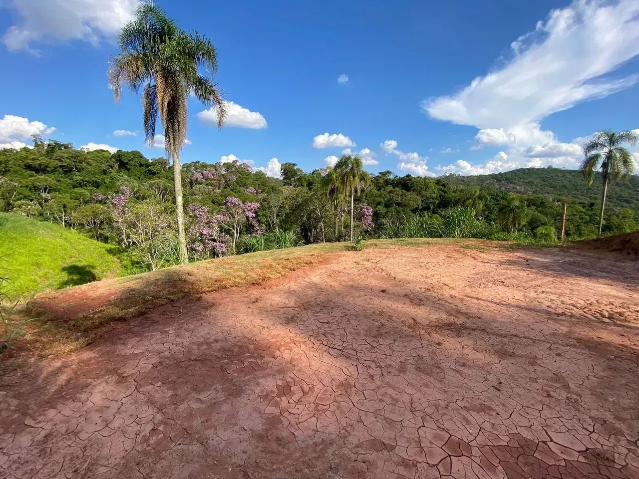 Terreno Plano e Entrada Baixa / Perfeito para sua Chácara - Foto 2