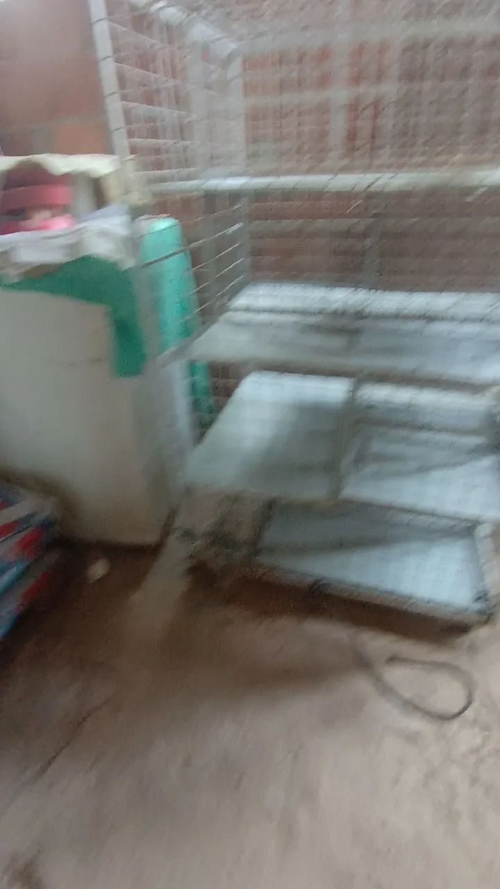 Gaiola para pet  - Foto 4