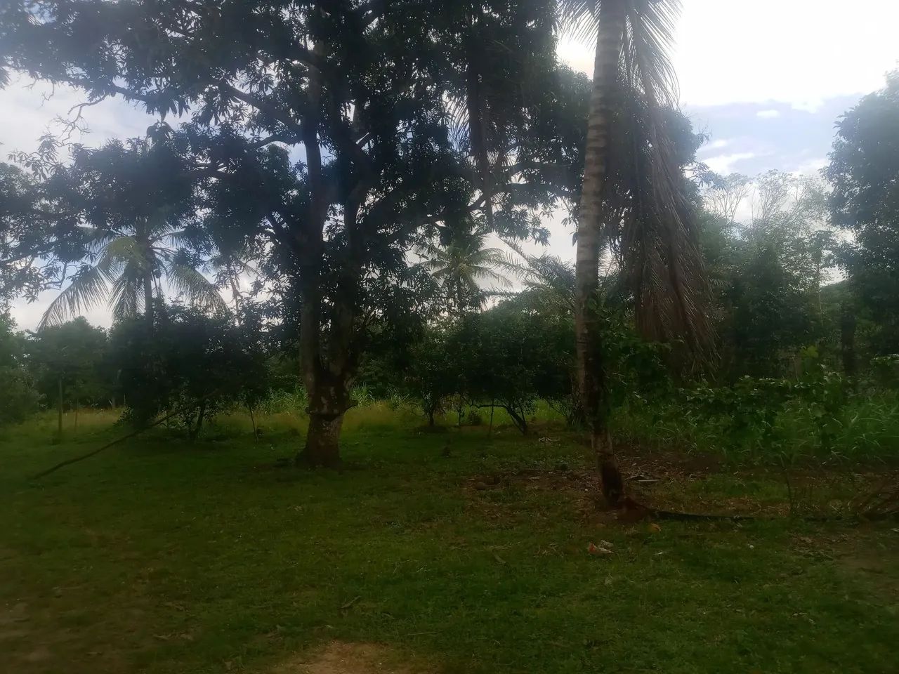 Sitio no centro de sao Cristóvão - Foto 5