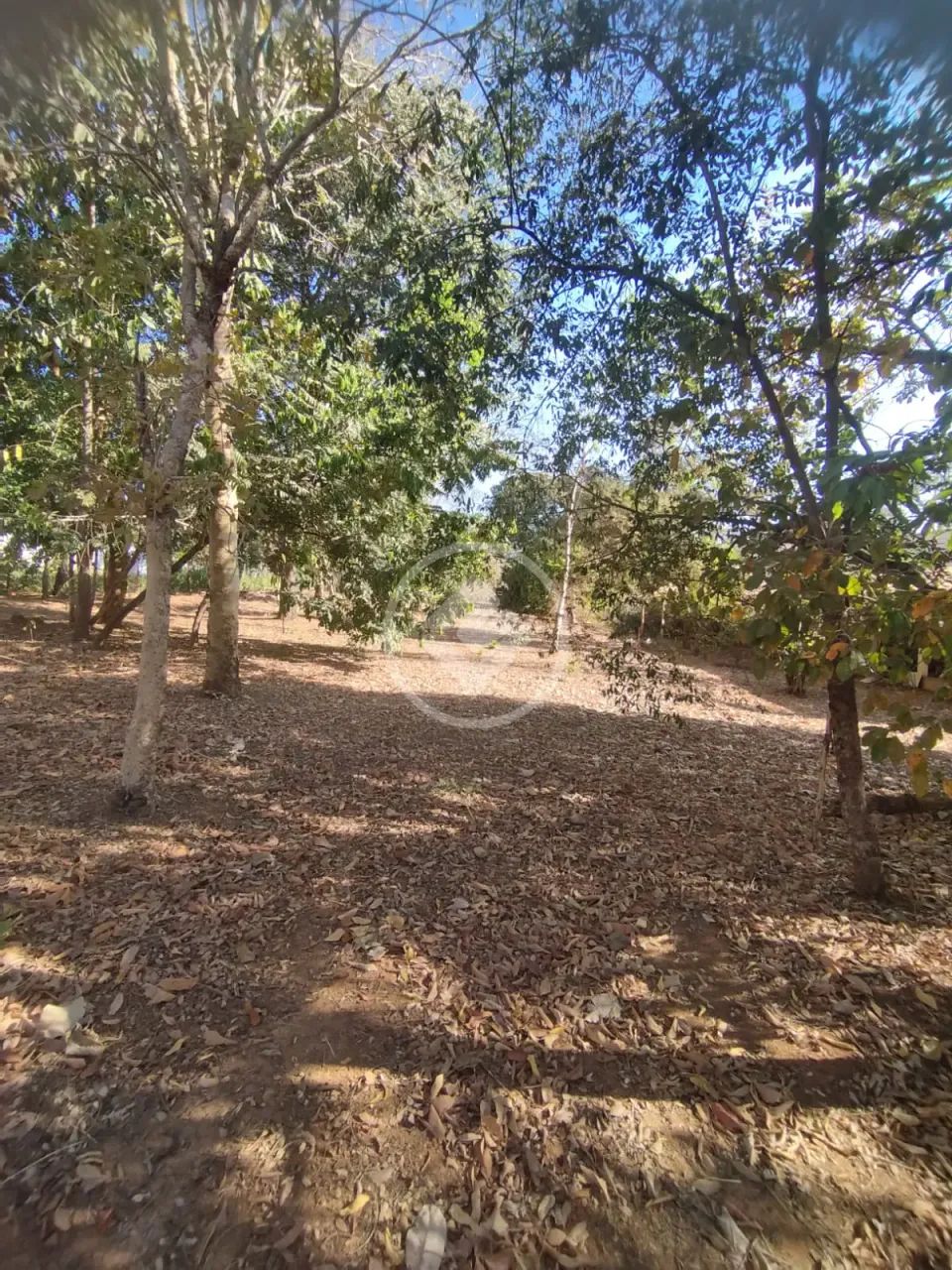 Lote à venda no Residencial Villa Verde codigo: 80096 - Foto 3