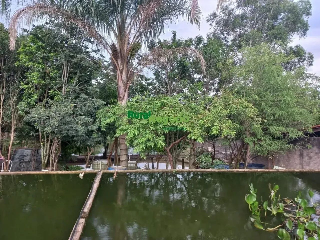 Pesqueiro com Lagos e Tanques à venda em Lorena-SP - Foto 2
