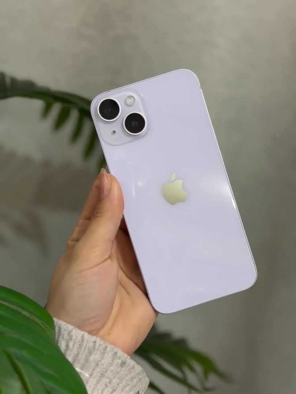 iPhone 14 Plus 256