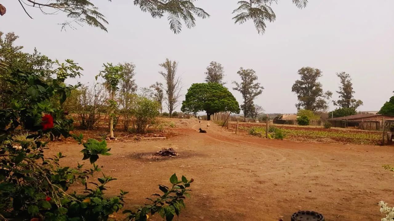 Chácara em Paiçandu !!! - Foto 3