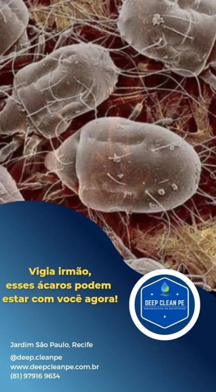 Limpeza de sofá e colchão 