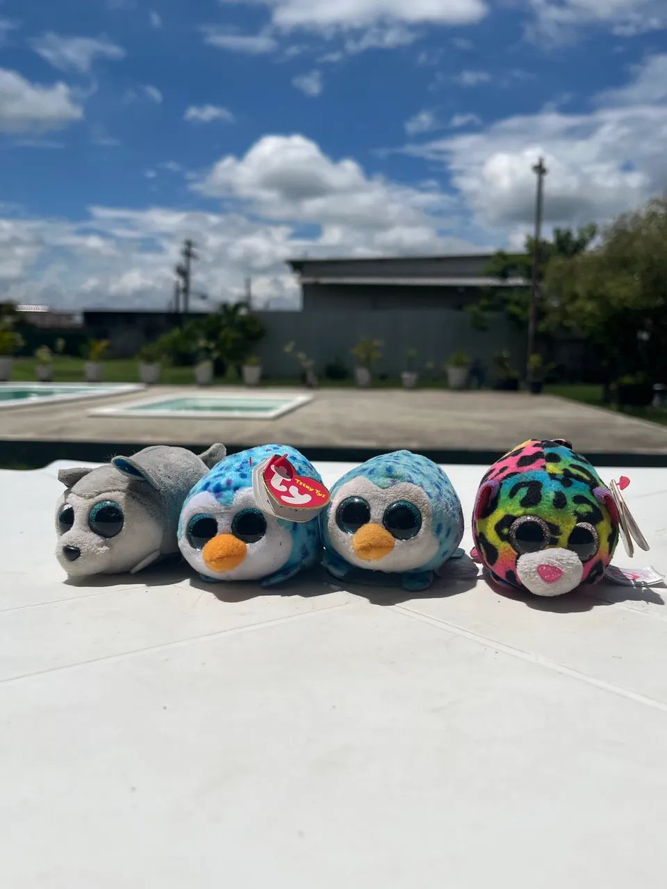 Ty Beanie Boos pequenos