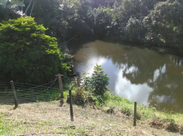 Espetacular fazenda, Salinas das Margaridas Bahia - Foto 10