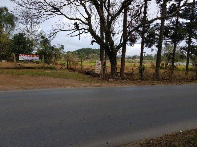Terreno / área - Foto 2