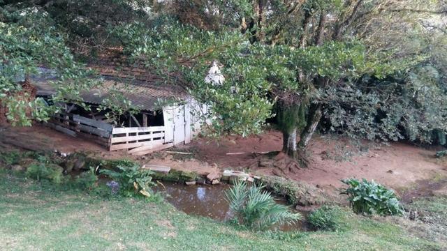 Lindo Sítio na Serra Gaúcha!! - Foto 8
