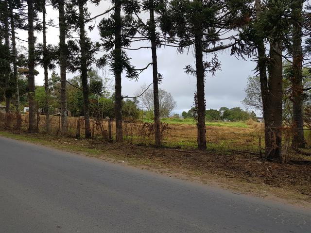 Terreno / área - Foto 4