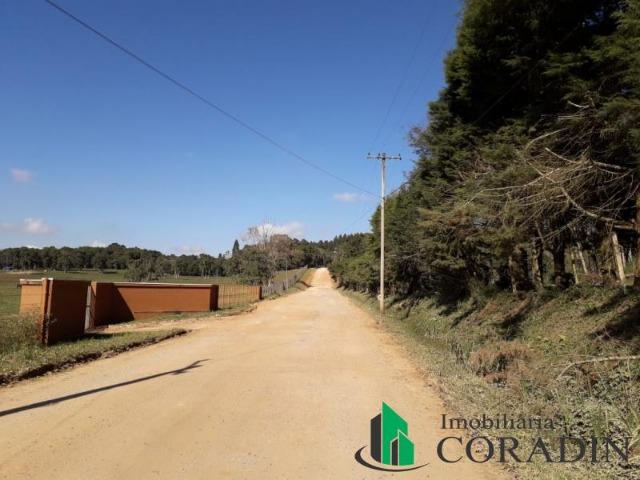 Haras em Campina Grande do Sul - Foto 15