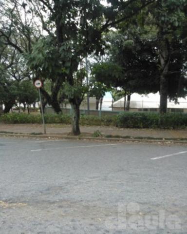 Terrano plano no jardim são caetano - Foto 15
