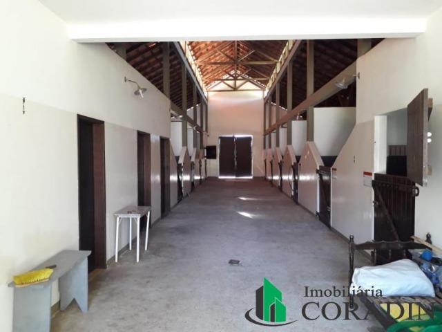 Haras em Campina Grande do Sul - Foto 9