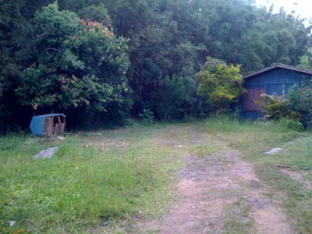 Terreno para alugar em , cod:I-003654