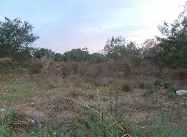 Vendo terreno de 1.000 m² no bairro Mapim - Várzea Grande - Foto 3