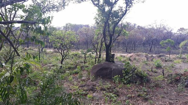 Vendo sítio na serra de são vicente - Foto 2