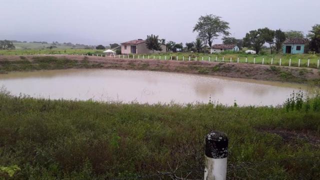 Fazenda para venda em feira nova, feira nova - Foto 20