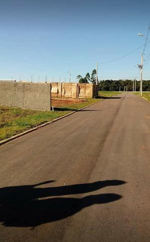 Terrenos 125m² - Foto 4