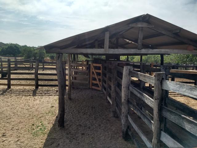Vendo uma Fazenda para Pecuaria de 1.100 hectares no Lago do Manso - Foto 10
