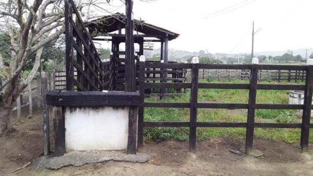 Fazenda para venda em feira nova, feira nova - Foto 15