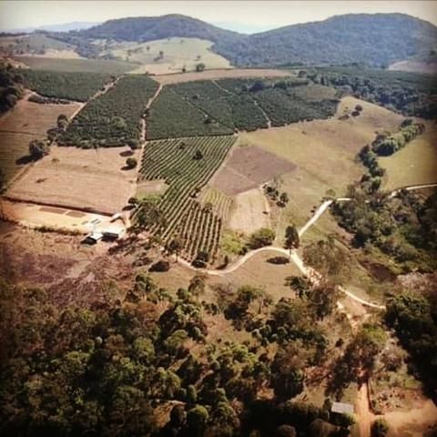 Café 100% arábica do sul de minas gerais - Foto 6